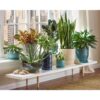 10 in. Dia Round Blue Rivage Ceramic Planter Decorative Pots Indoor Outdoor Use - Image 4